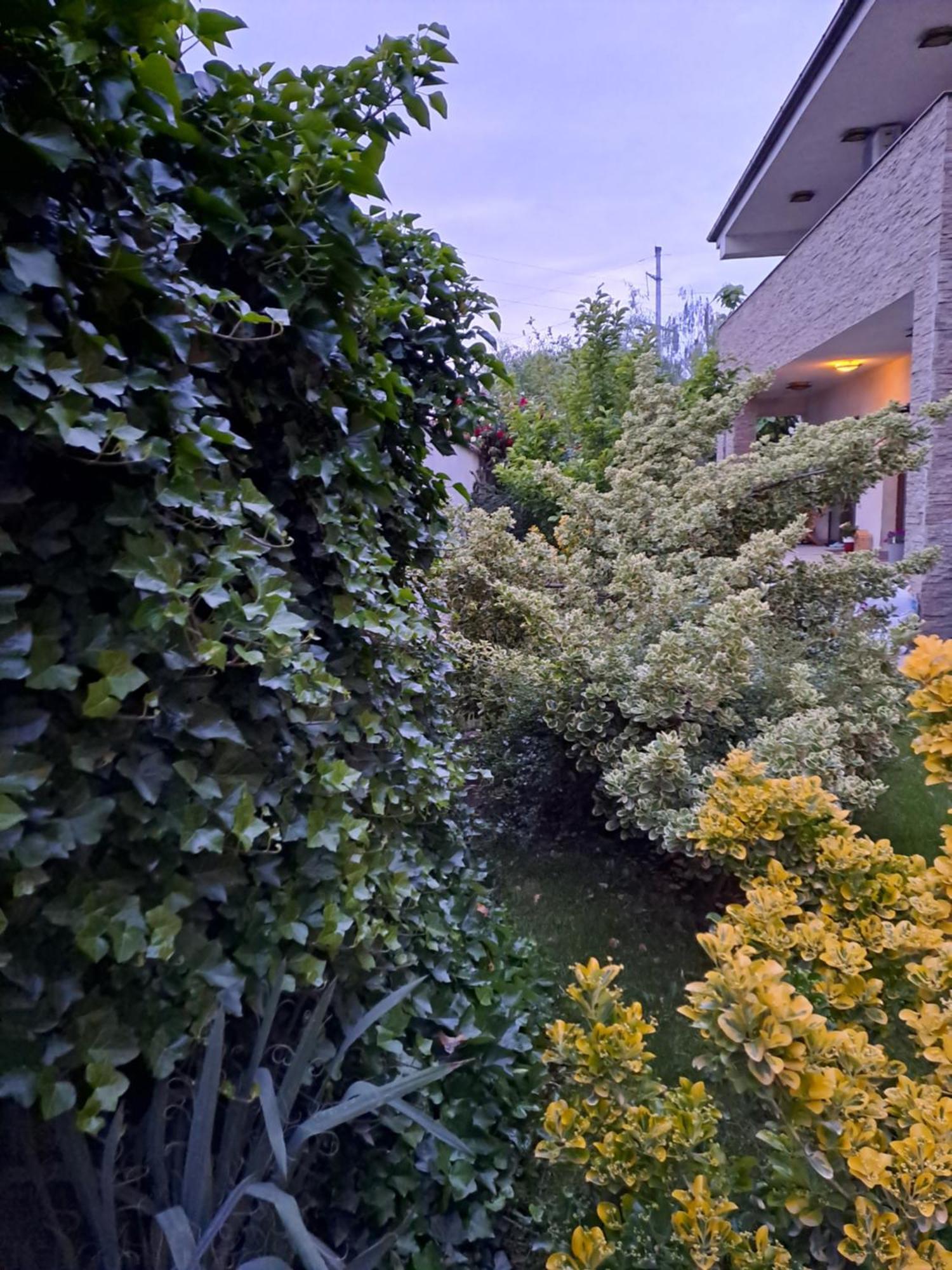 Villa Casa 2 Bucharest